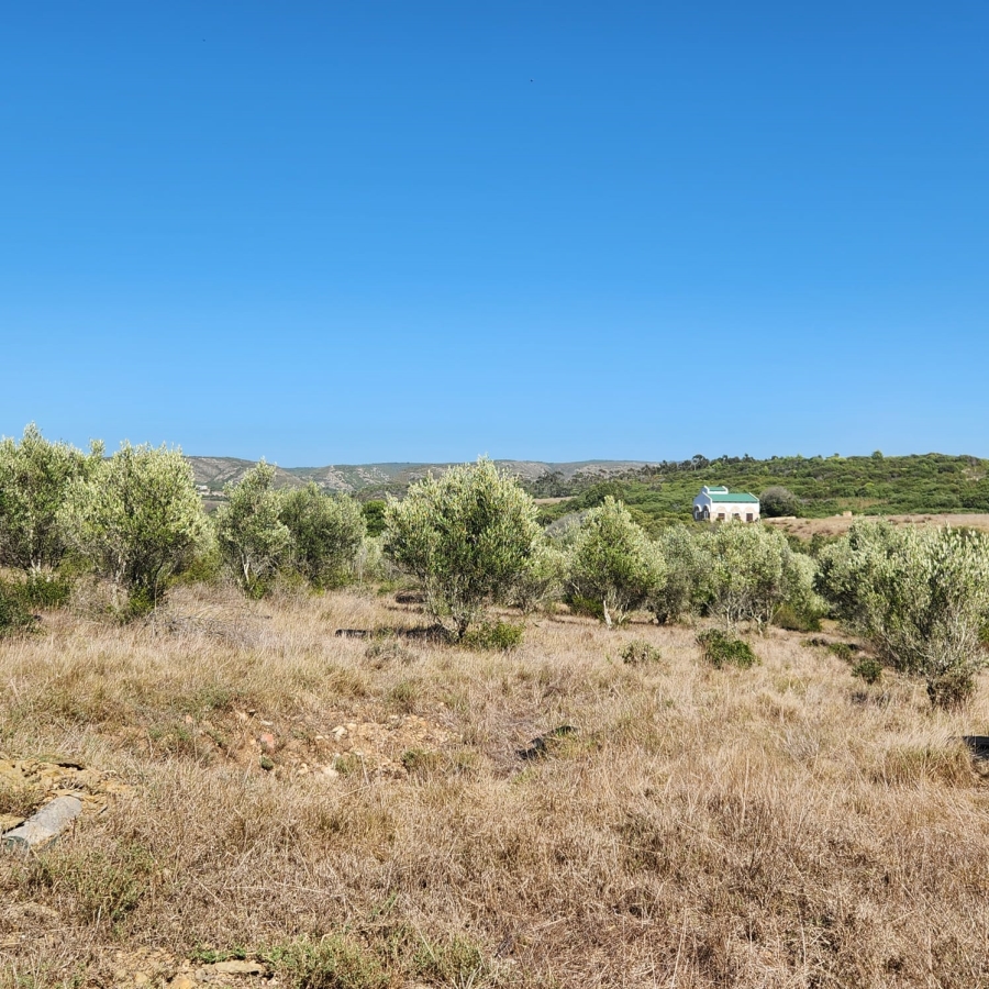 3 Bedroom Property for Sale in Stilbaai Oos Western Cape